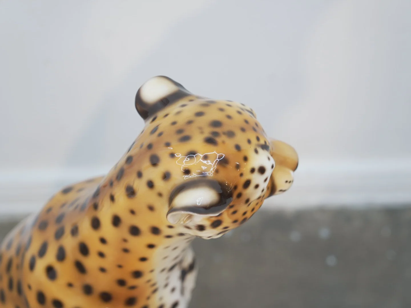 Photo Jan 31 2026, 6 07 37 PM.jpg