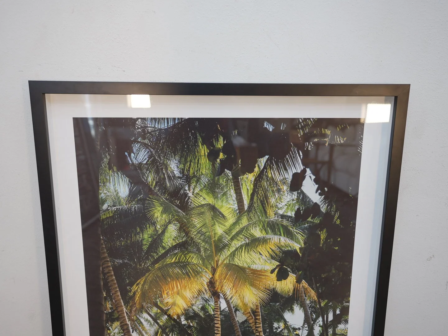 Photo Apr 23 2026, 3 42 30 PM.jpg