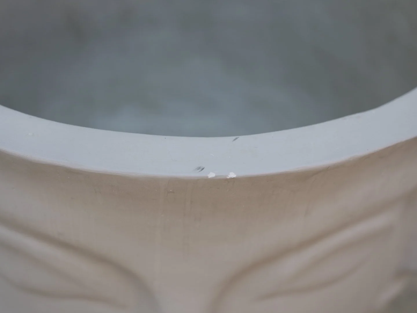 Photo Feb 05 2026, 4 35 59 PM.jpg