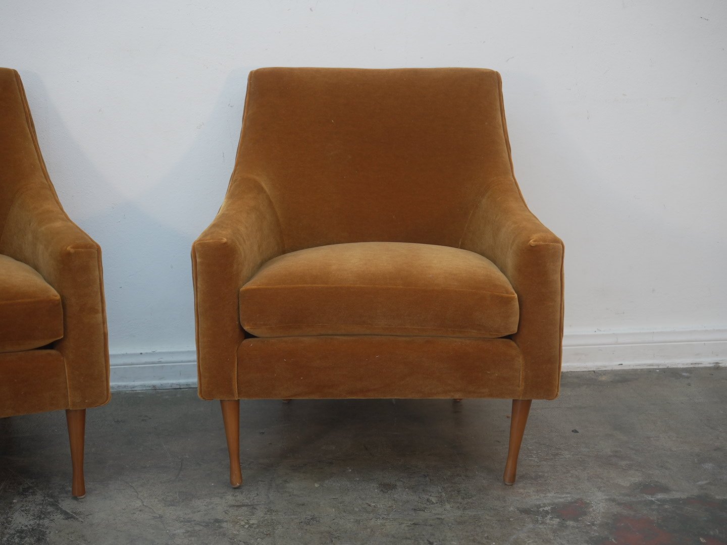 Photo Mar 05 2026, 5 24 34 PM.jpg