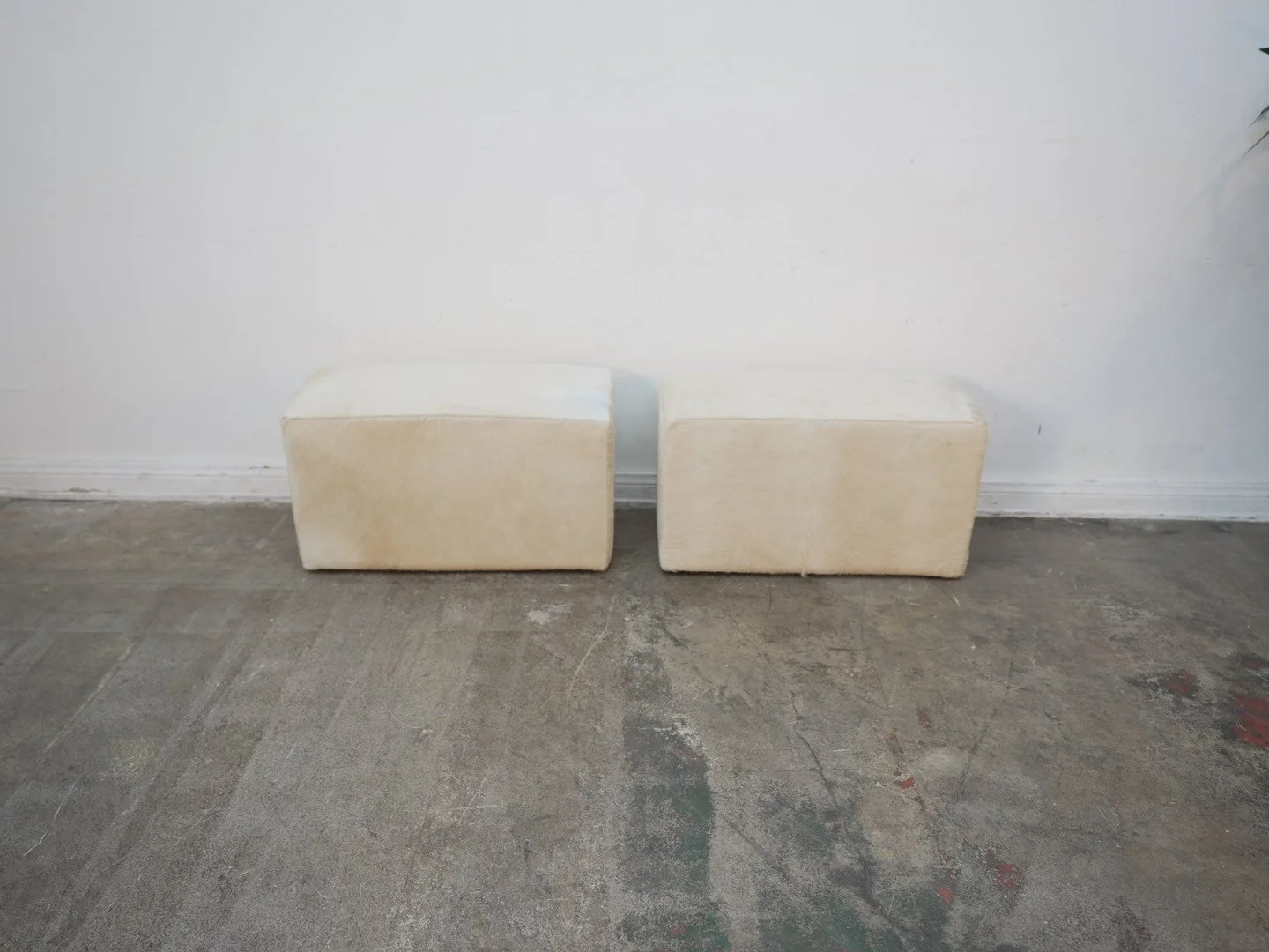 Photo Apr 21 2026, 1 35 10 PM.jpg