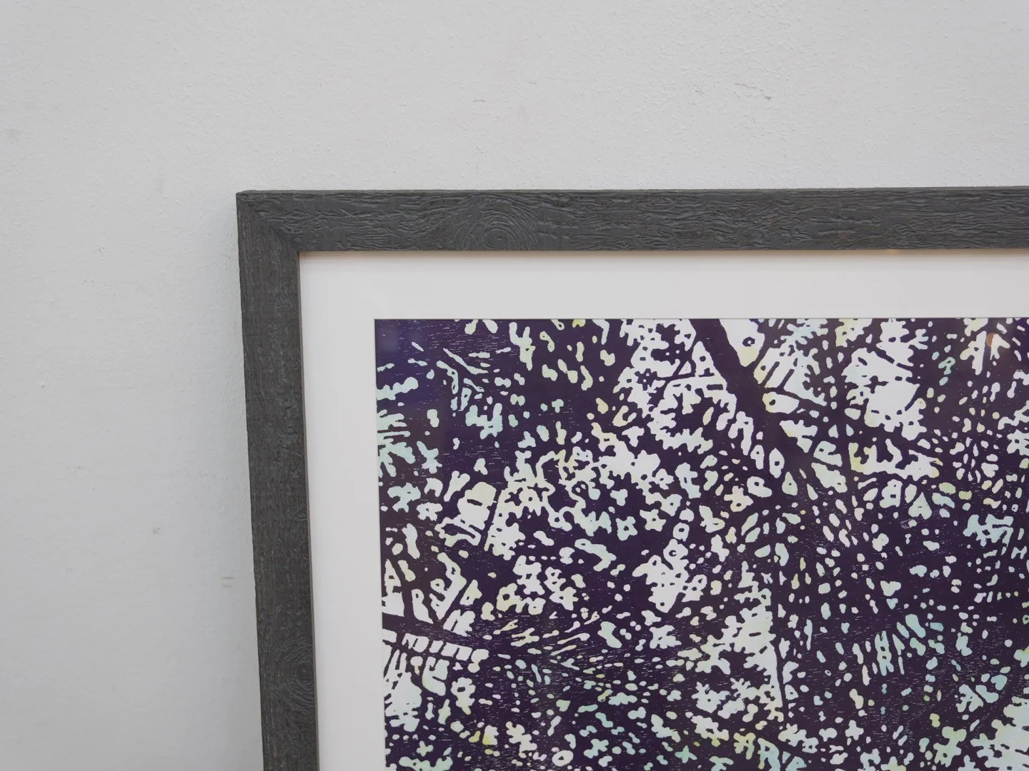 Photo Jan 29 2026, 1 48 56 PM.jpg