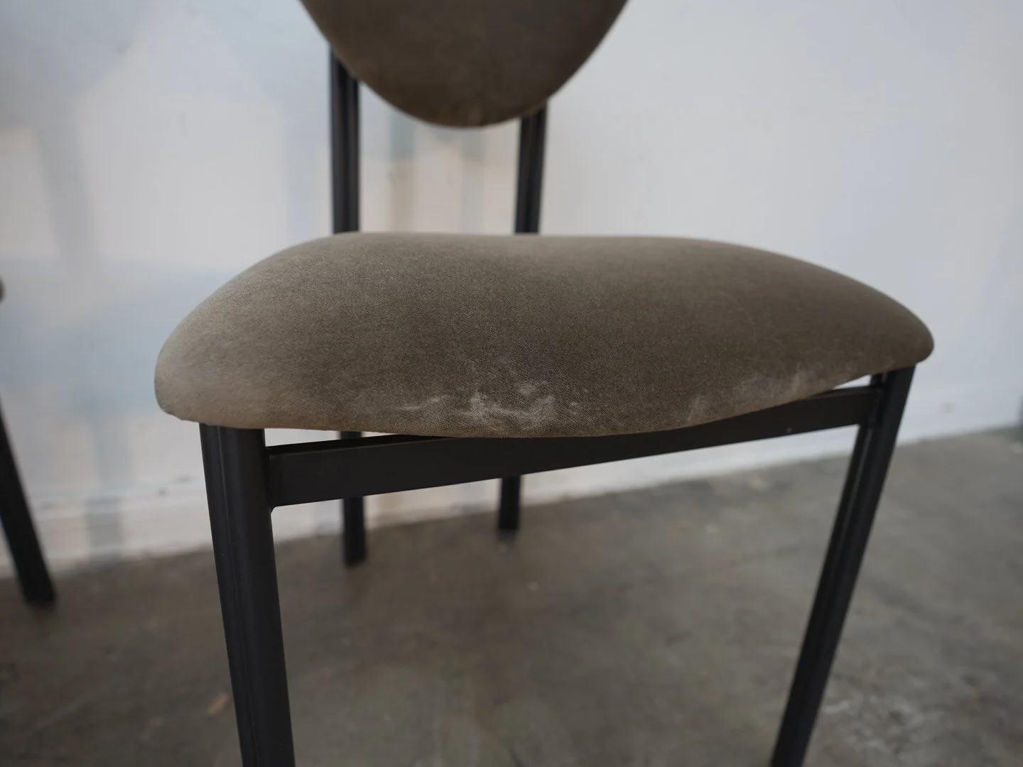 Photo Apr 14 2026, 1 14 53 PM.jpg