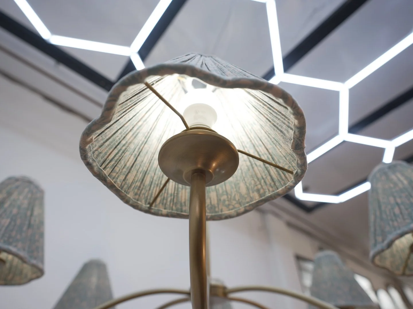 Photo Mar 12 2026, 2 00 44 PM.jpg