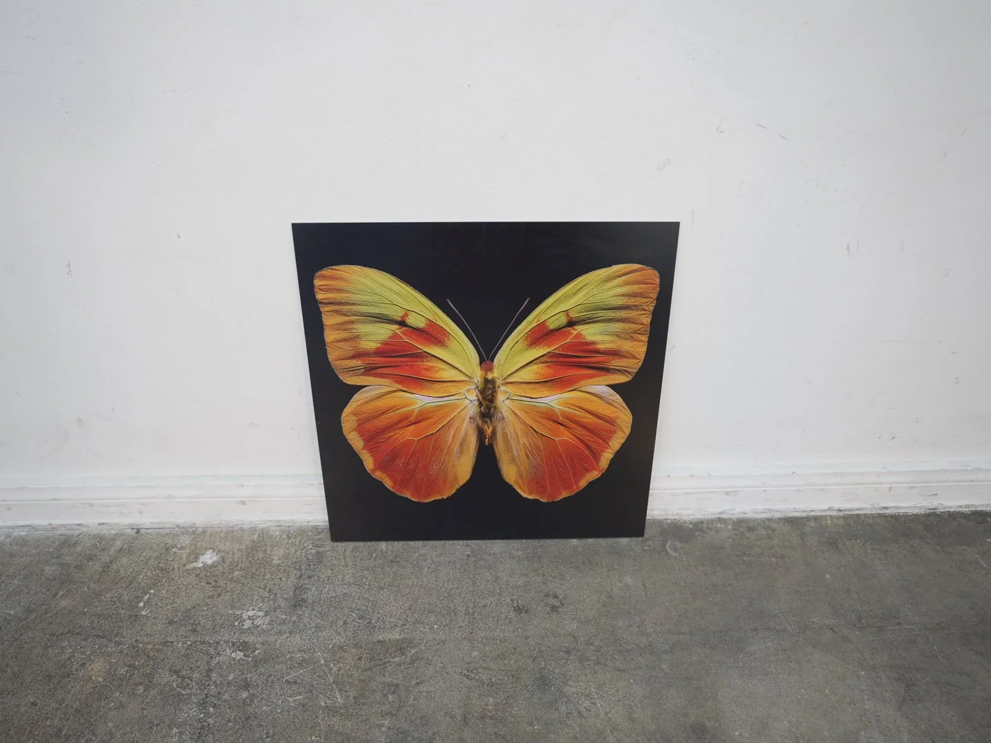 Photo Apr 23 2026, 12 40 37 PM.jpg