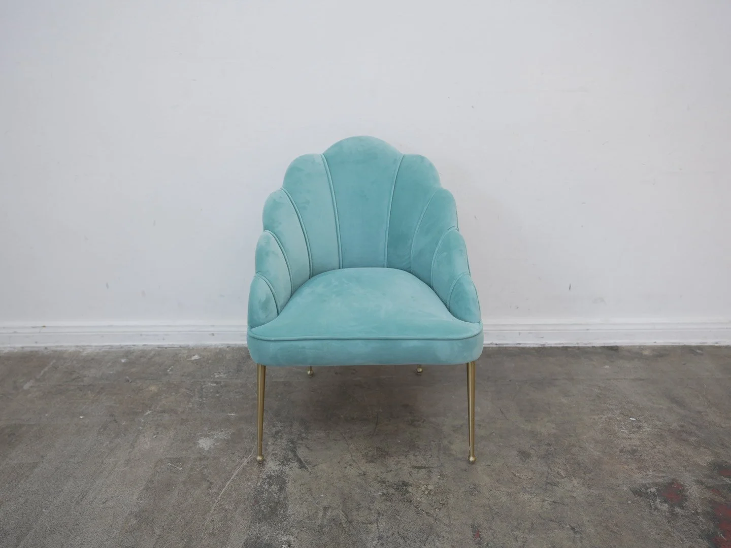 Photo Mar 17 2026, 11 08 00 AM.jpg