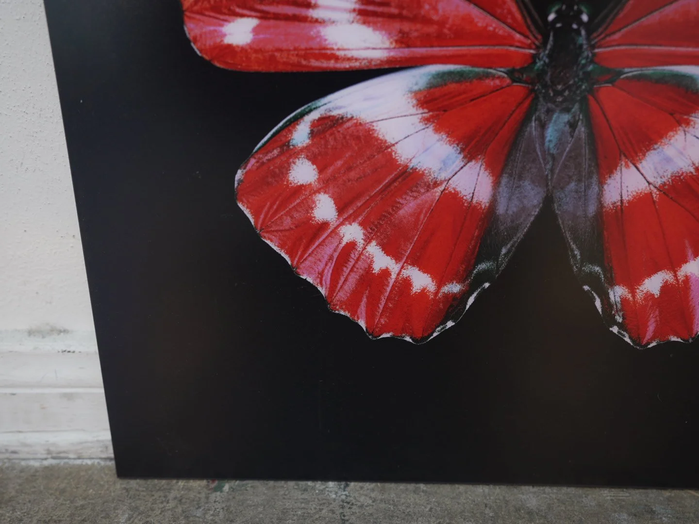 Photo Apr 23 2026, 12 37 13 PM.jpg