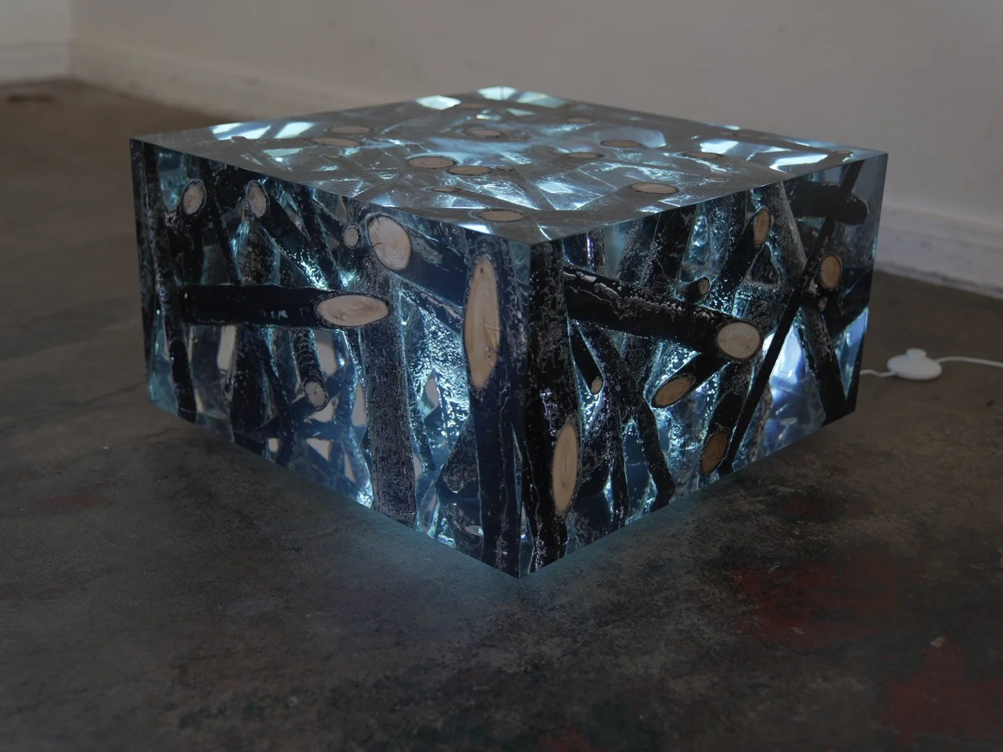 Photo Feb 08 2026, 12 18 59 PM.jpg