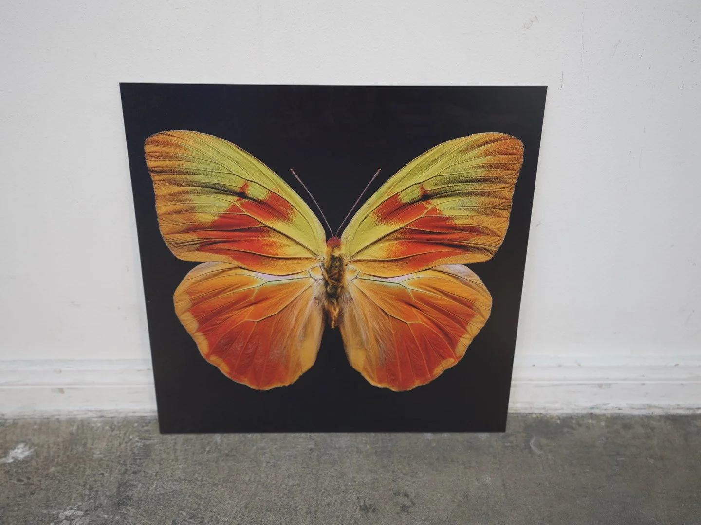 Photo Apr 23 2026, 12 41 04 PM.jpg