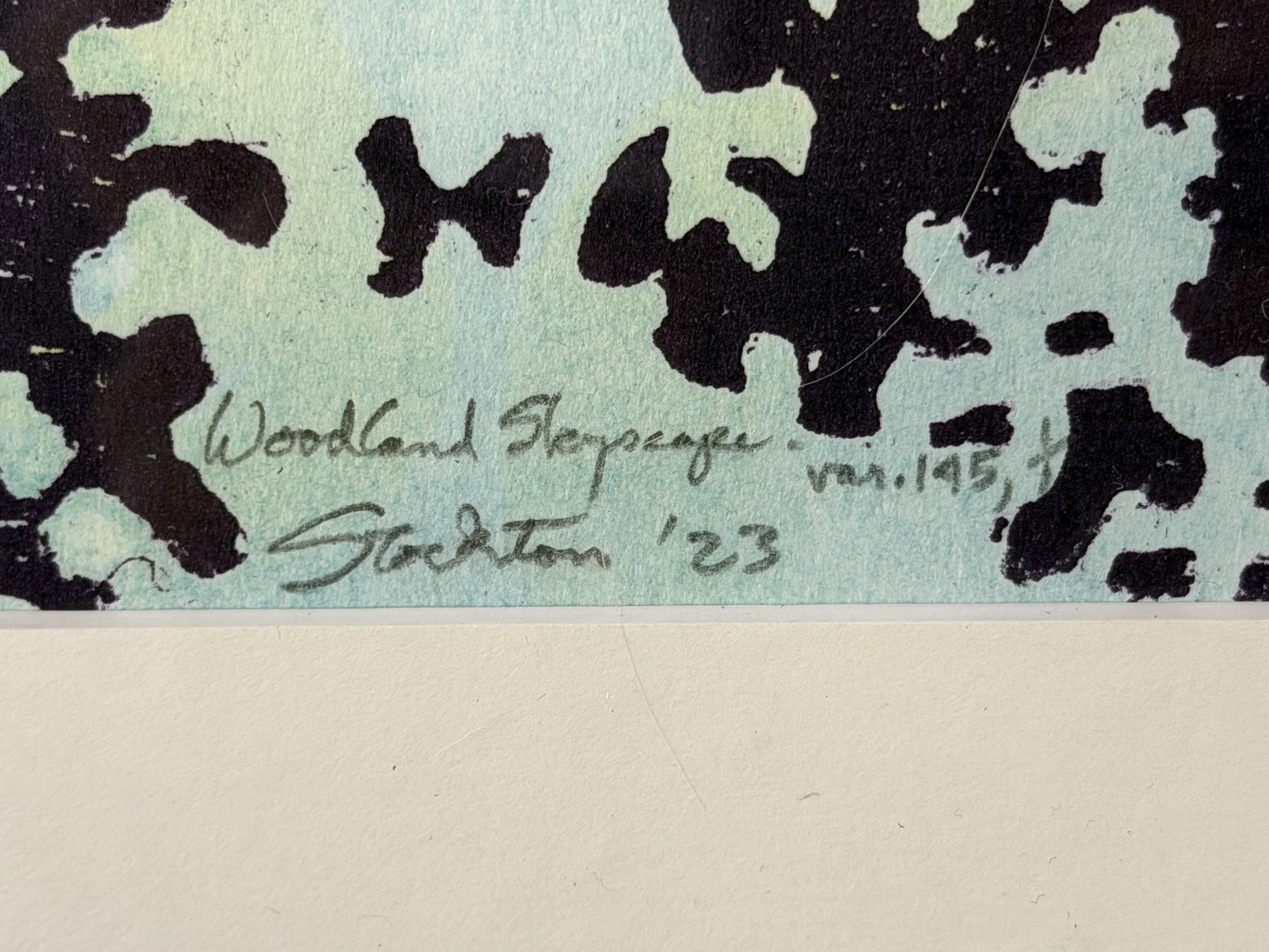 Photo Jan 29 2026, 4 41 14 PM.jpg