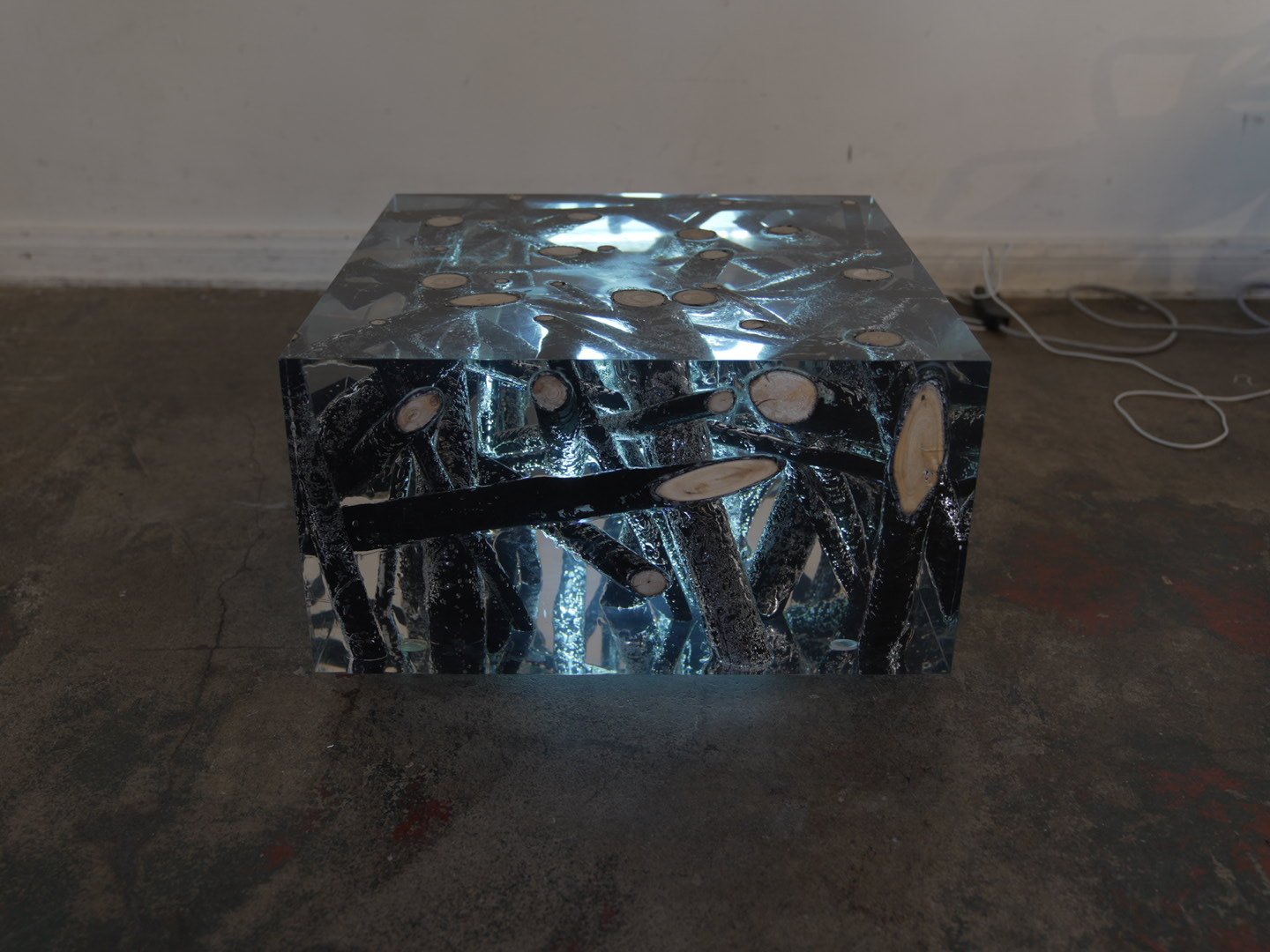 Photo Feb 08 2026, 12 19 30 PM.jpg