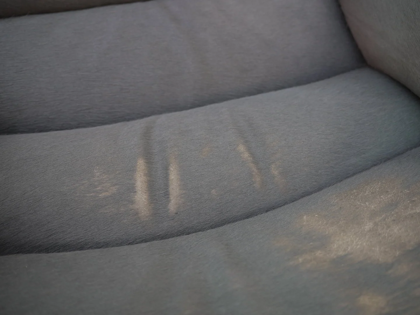 Photo Mar 03 2026, 11 59 33 AM.jpg