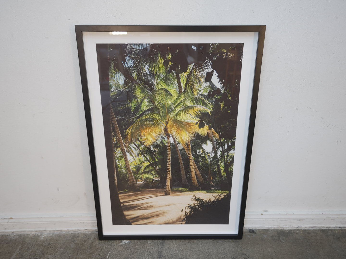 Photo Apr 23 2026, 3 42 19 PM.jpg