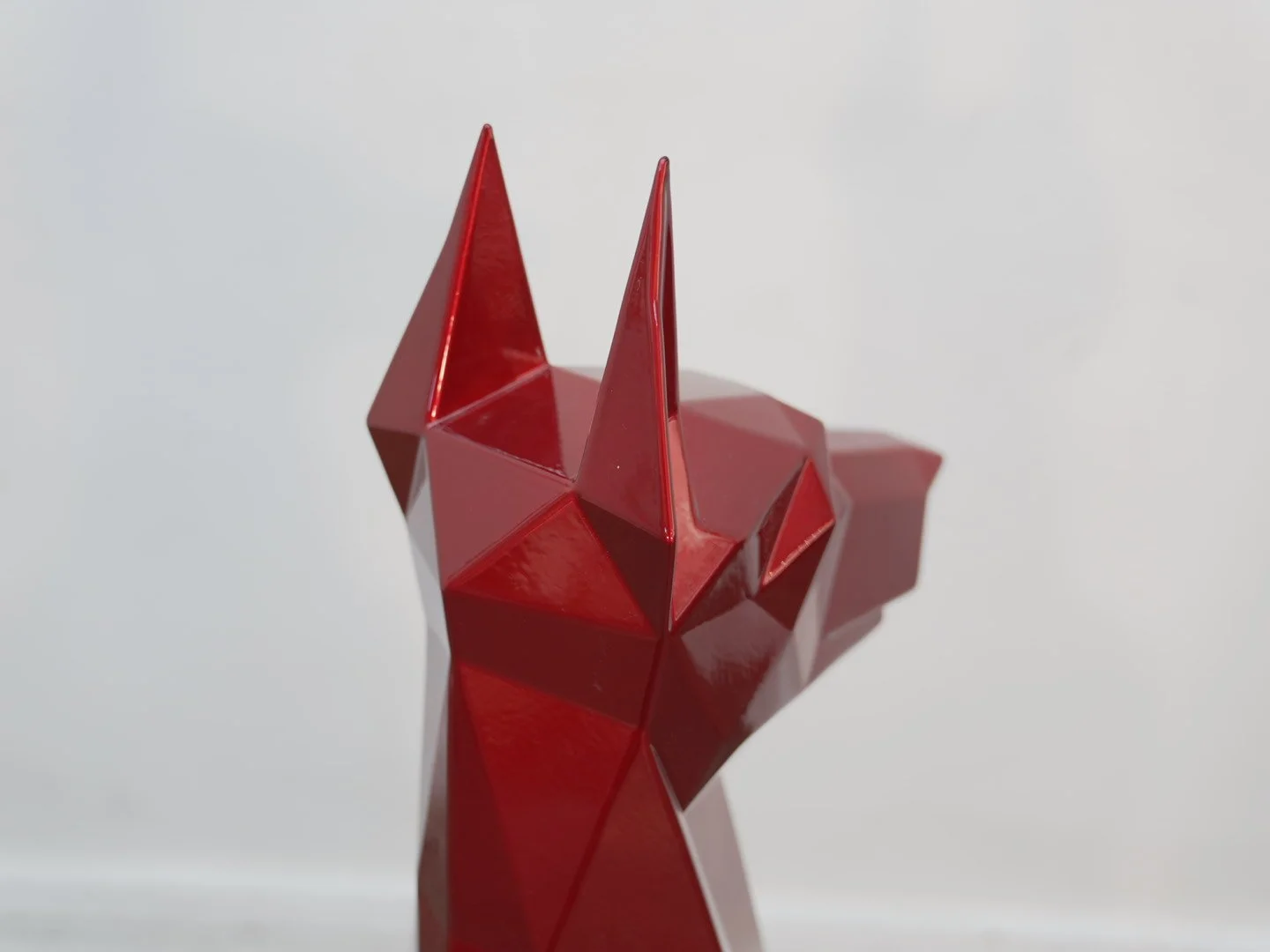 Photo Feb 08 2026, 11 50 40 AM.jpg