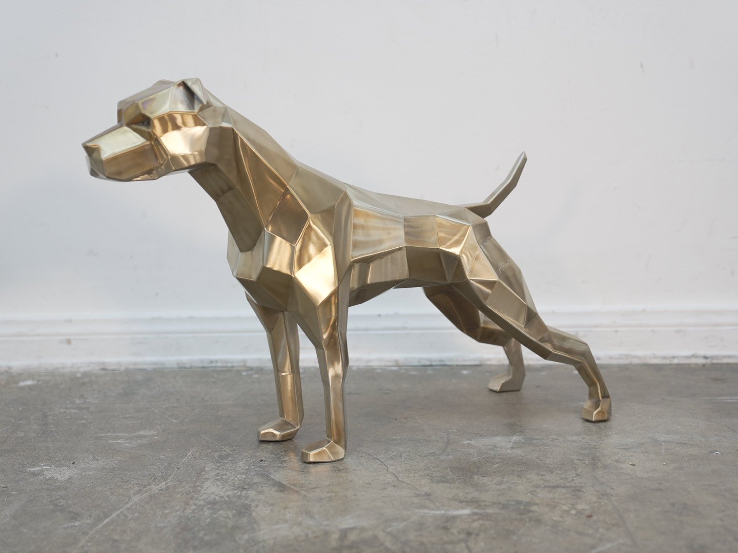 Photo Feb 08 2026, 11 57 03 AM.jpg