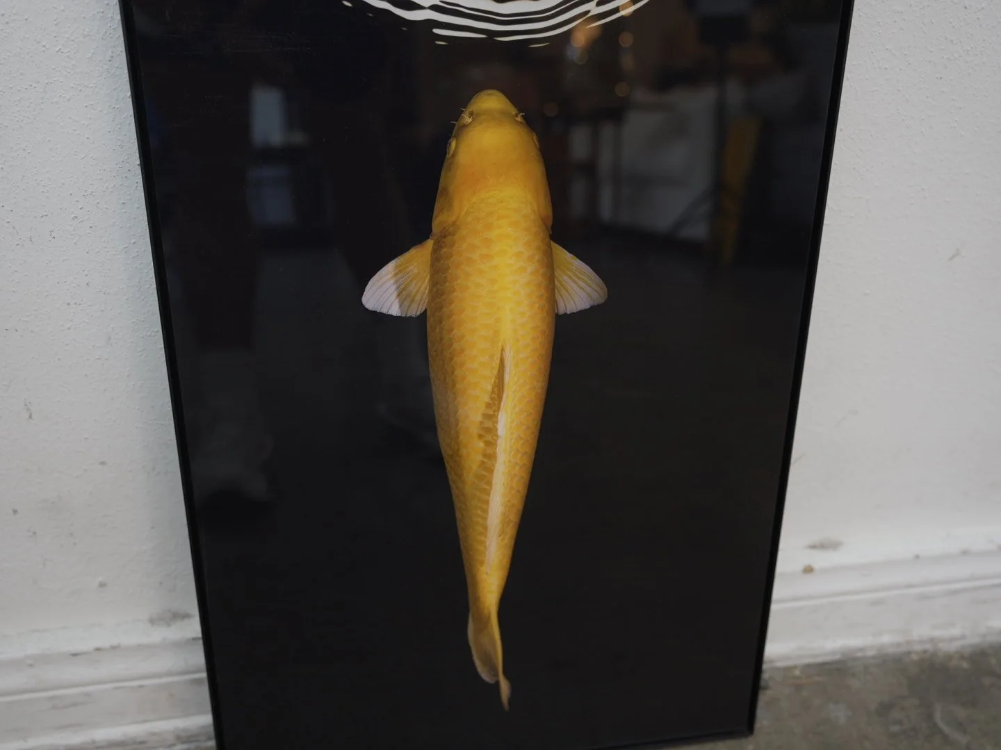 Photo Apr 23 2026, 4 34 48 PM.jpg