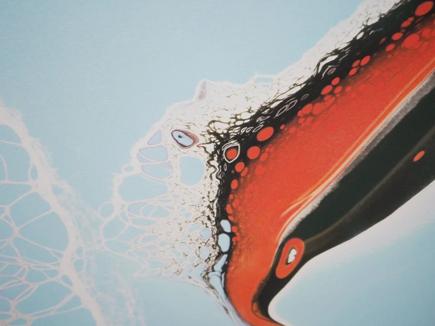 Photo Mar 26 2026, 1 09 22 PM.jpg