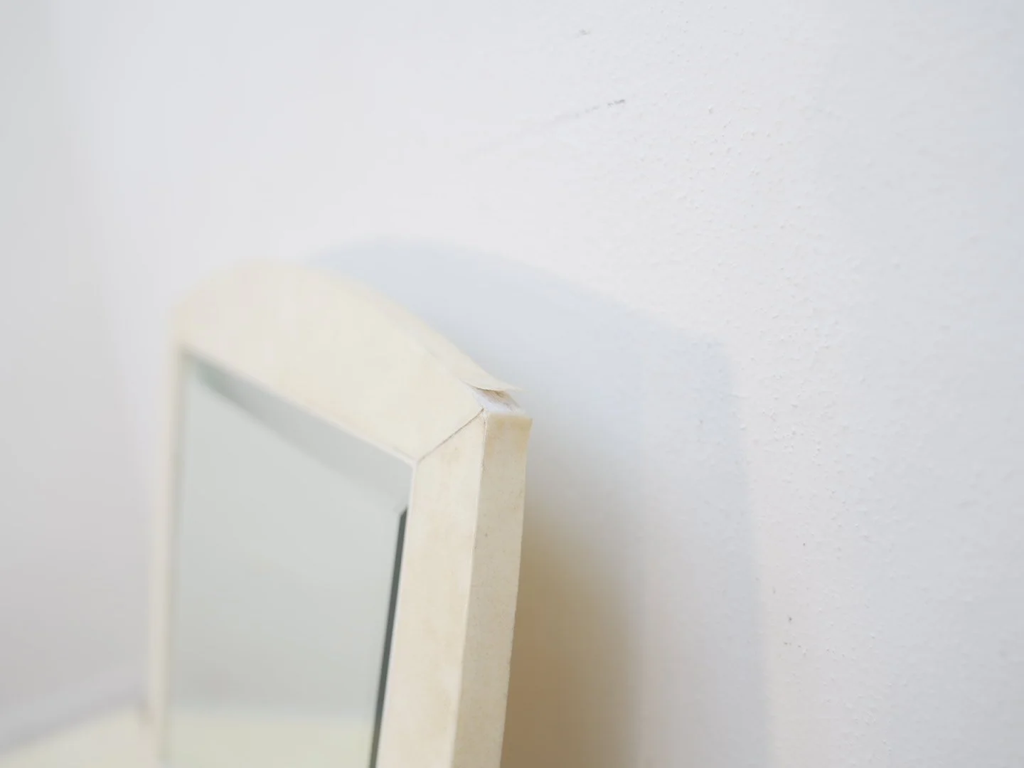 Photo Feb 13 2026, 2 53 29 PM.jpg