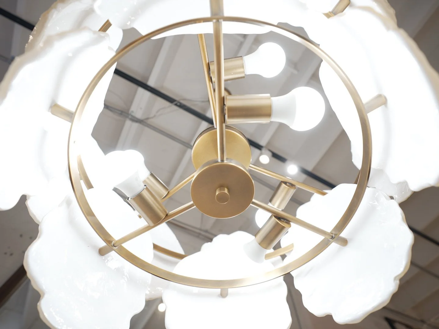 Photo Mar 13 2026, 11 19 15 AM.jpg