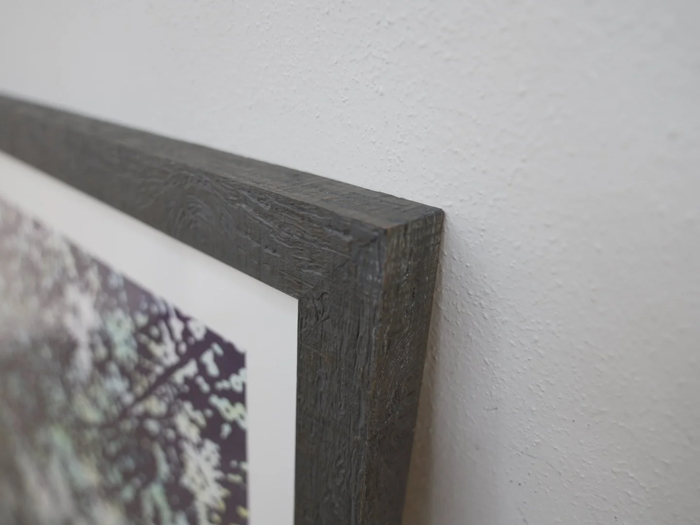 Photo Jan 29 2026, 1 49 13 PM.jpg