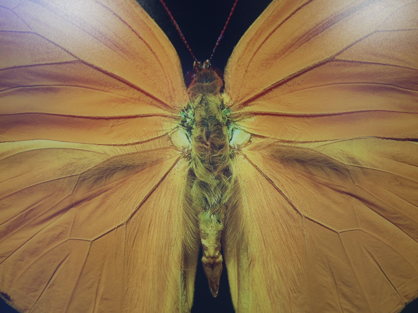 Photo Apr 23 2026, 12 21 20 PM.jpg