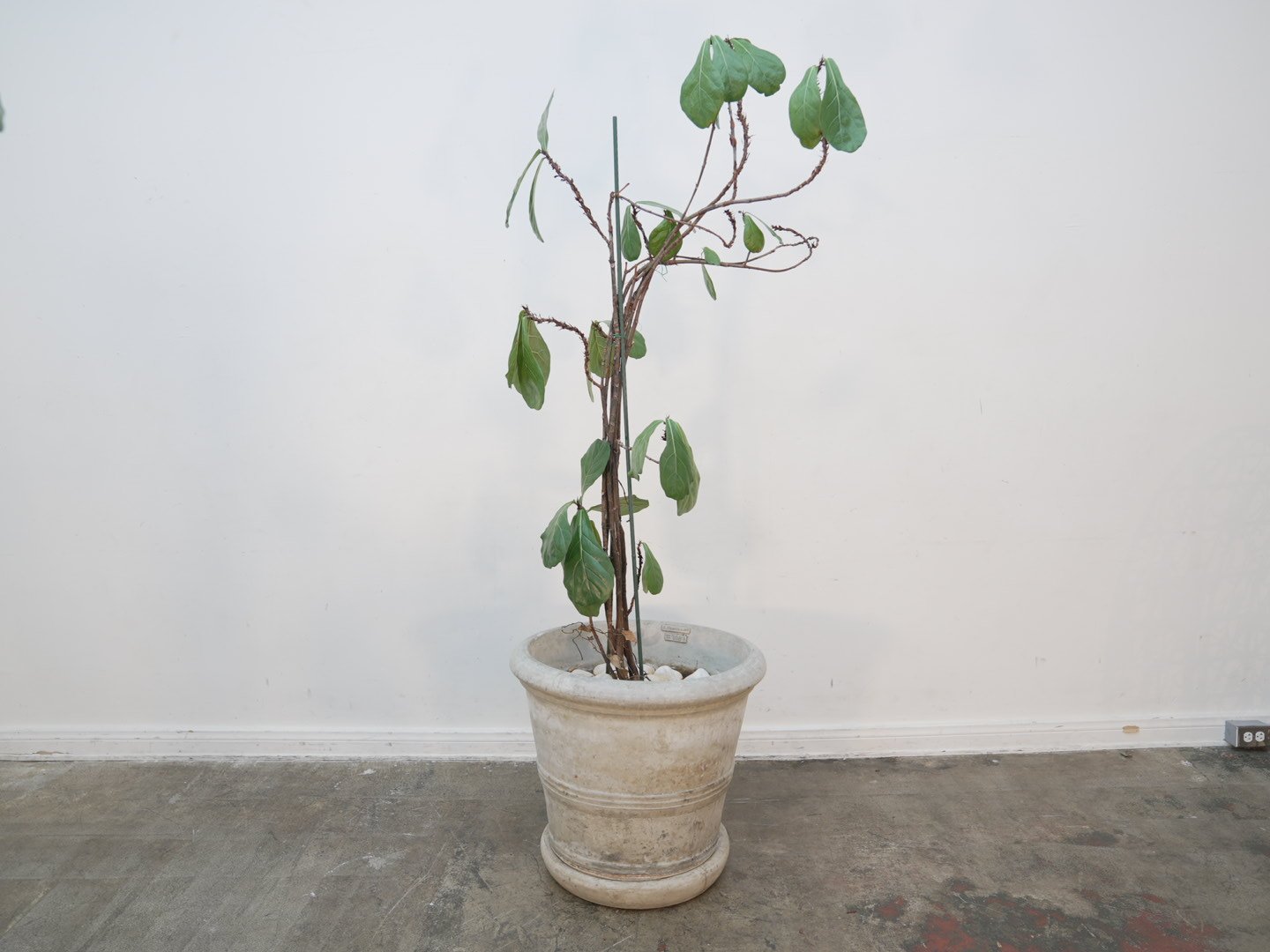 Photo Feb 06 2026, 5 43 58 PM.jpg