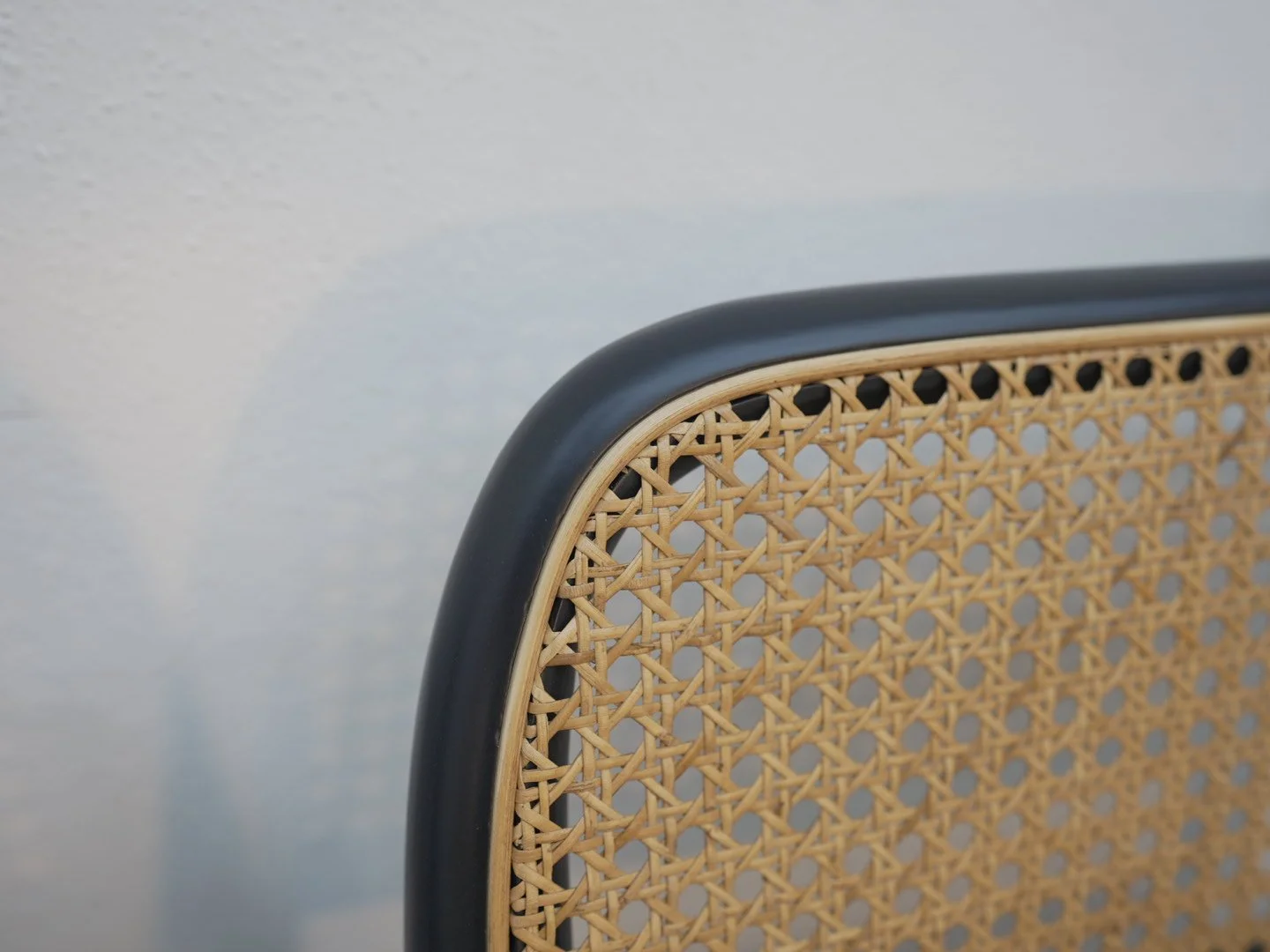 Photo Mar 24 2026, 3 33 30 PM.jpg