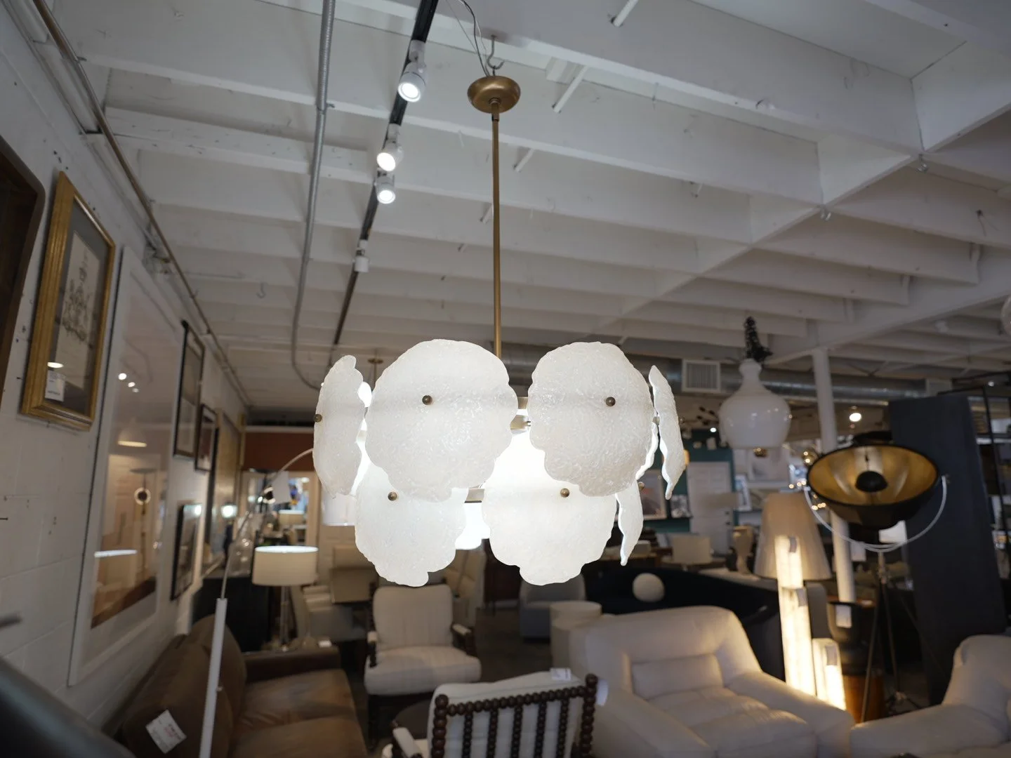 Photo Mar 13 2026, 11 18 45 AM.jpg