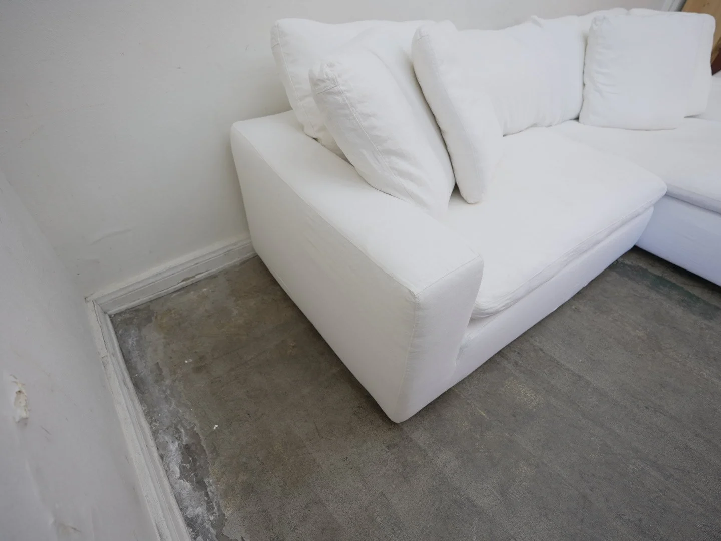 Photo Mar 17 2026, 11 01 17 AM.jpg