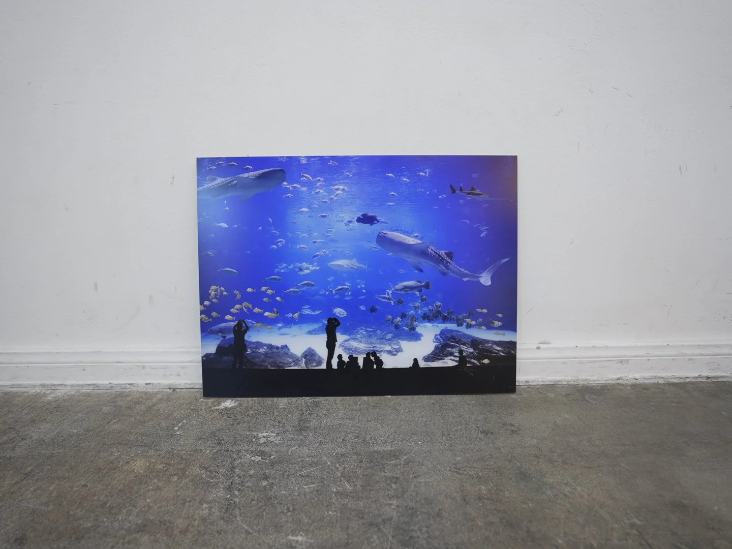 Photo Apr 23 2026, 12 17 42 PM.jpg