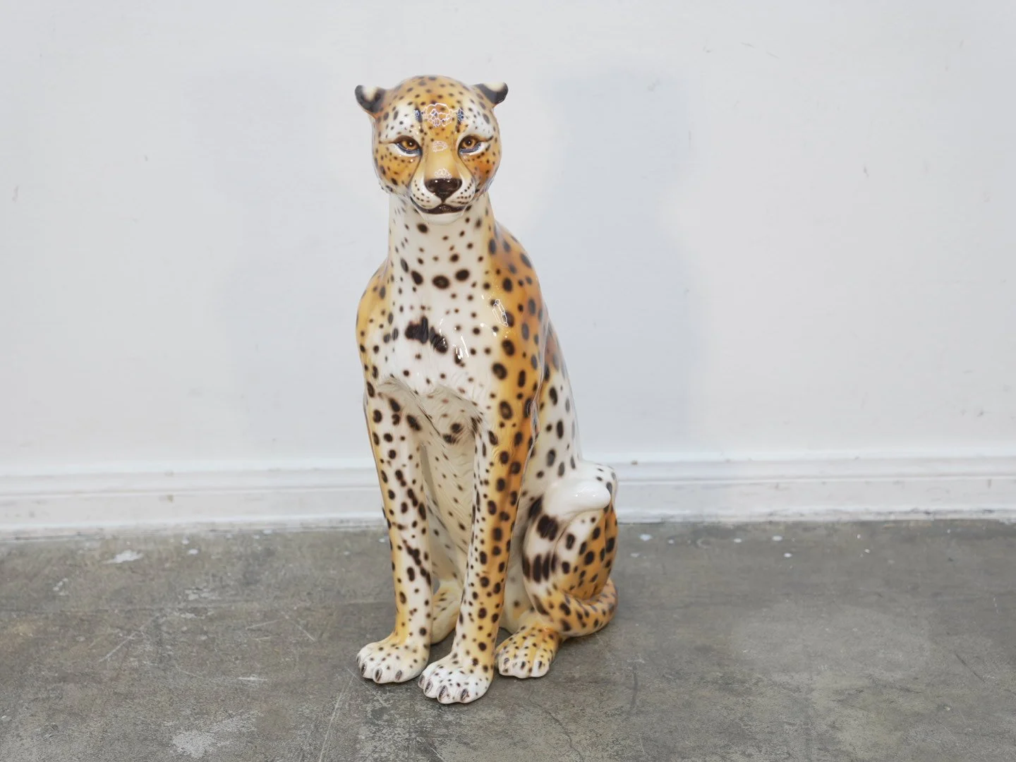 Photo Jan 31 2026, 6 06 49 PM.jpg