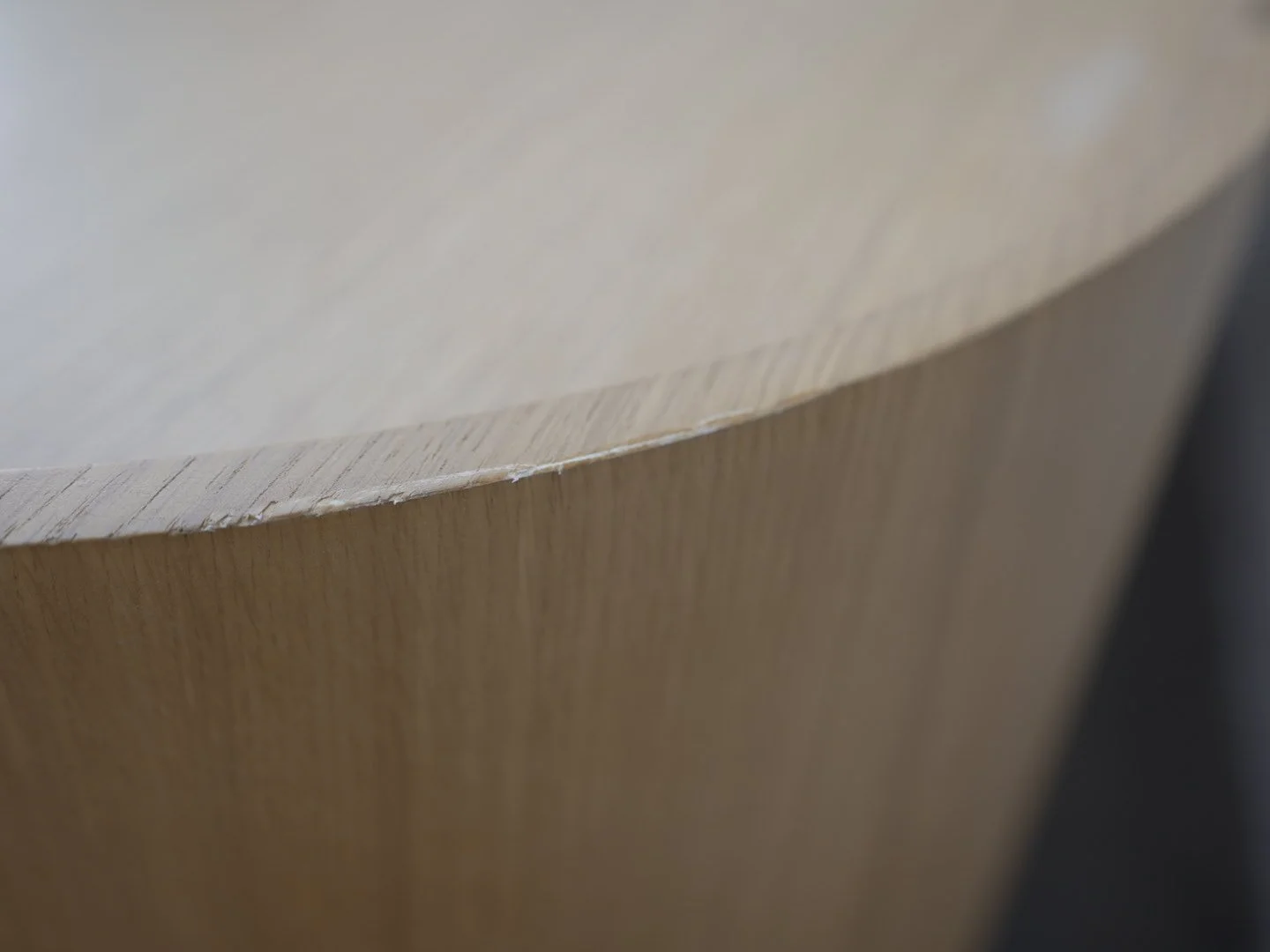 Photo Mar 24 2026, 3 54 35 PM.jpg