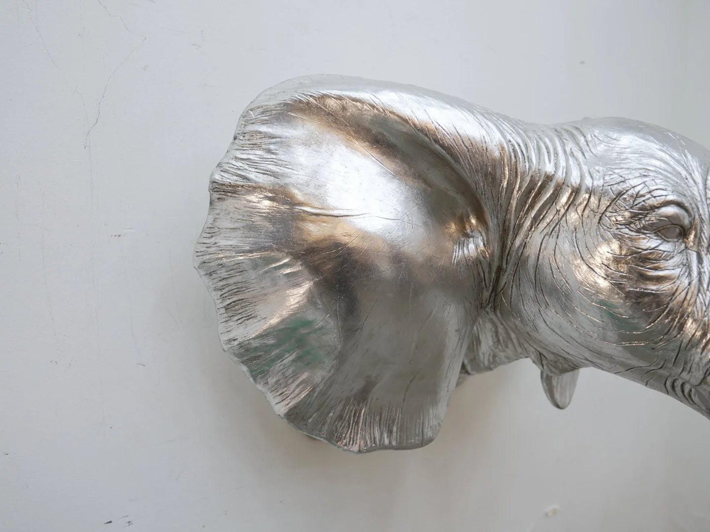 Photo Feb 12 2026, 6 18 50 PM.jpg