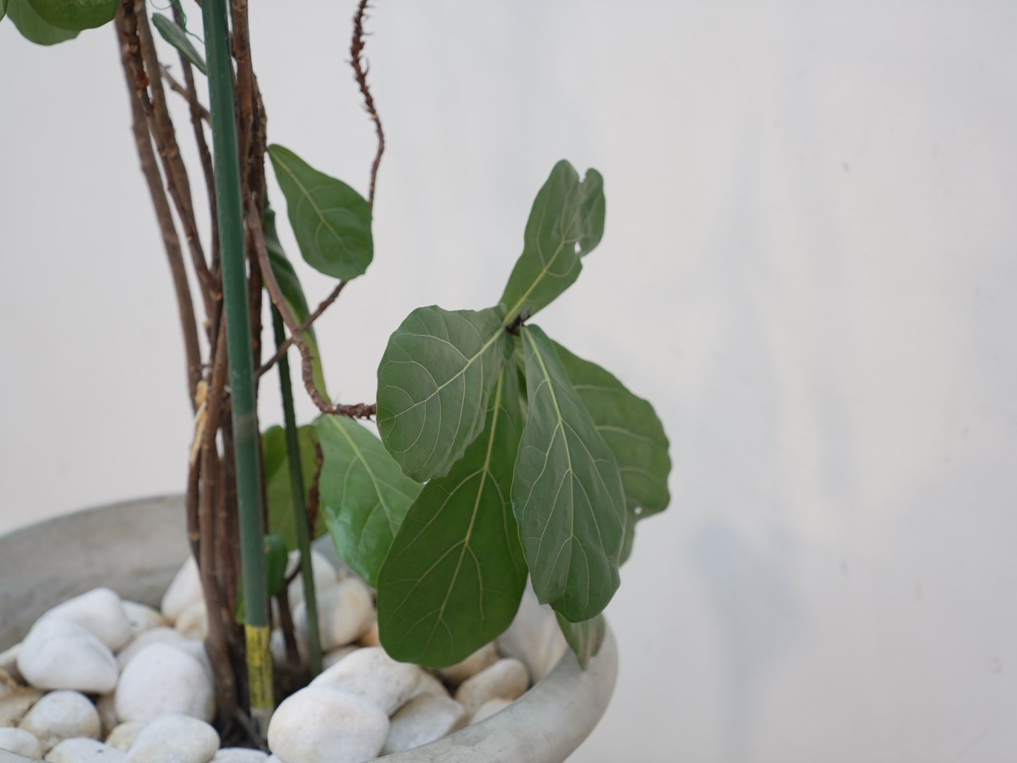 Photo Feb 06 2026, 5 39 39 PM.jpg