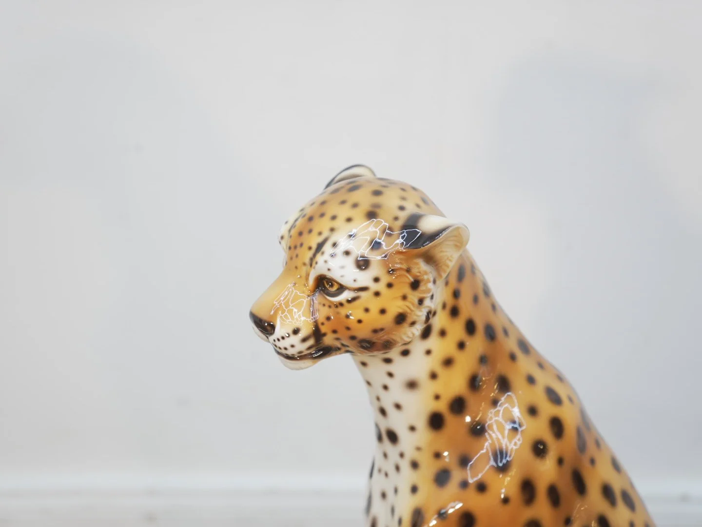 Photo Jan 31 2026, 6 08 14 PM.jpg