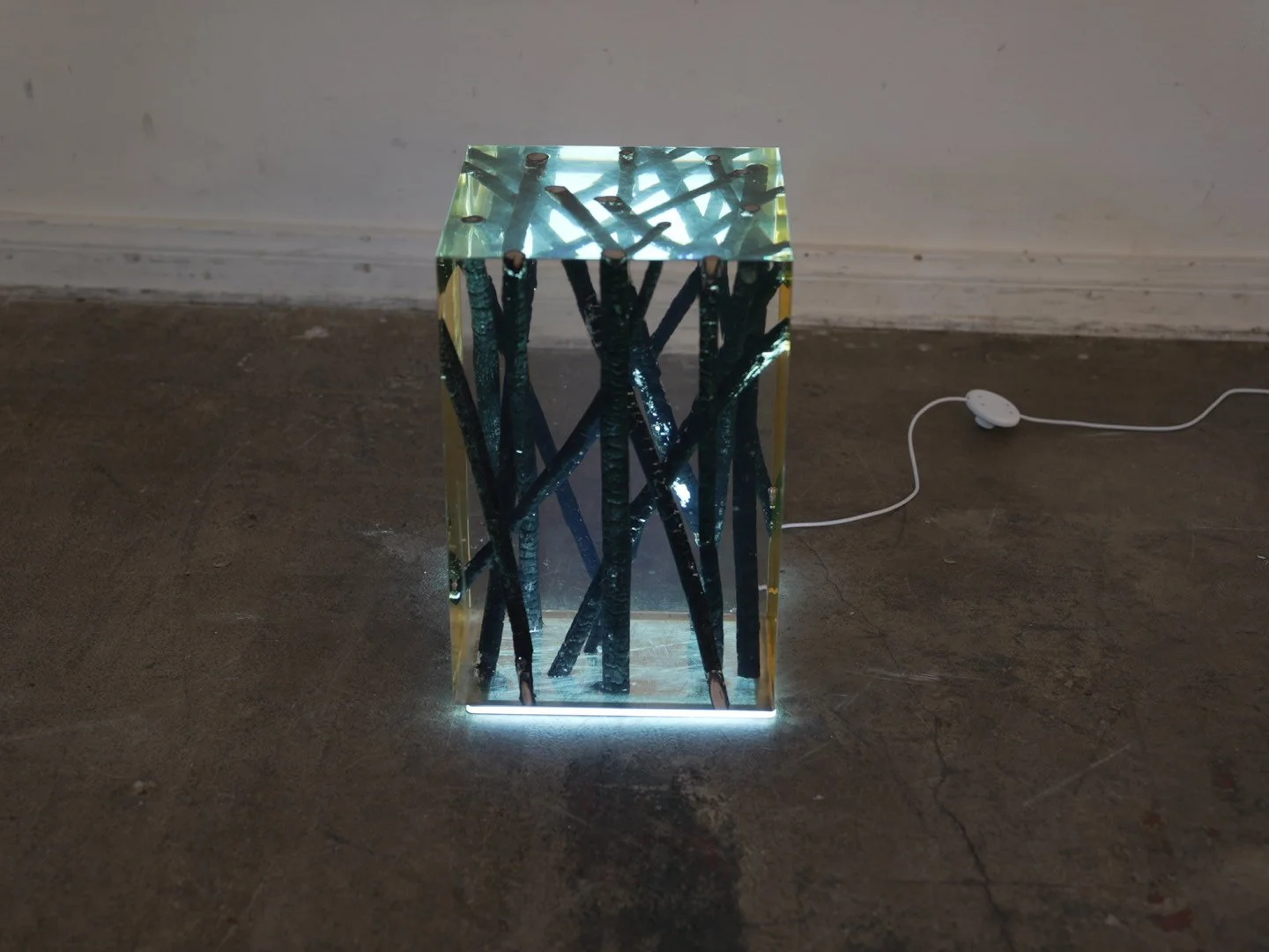 Photo Feb 08 2026, 12 04 10 PM.jpg