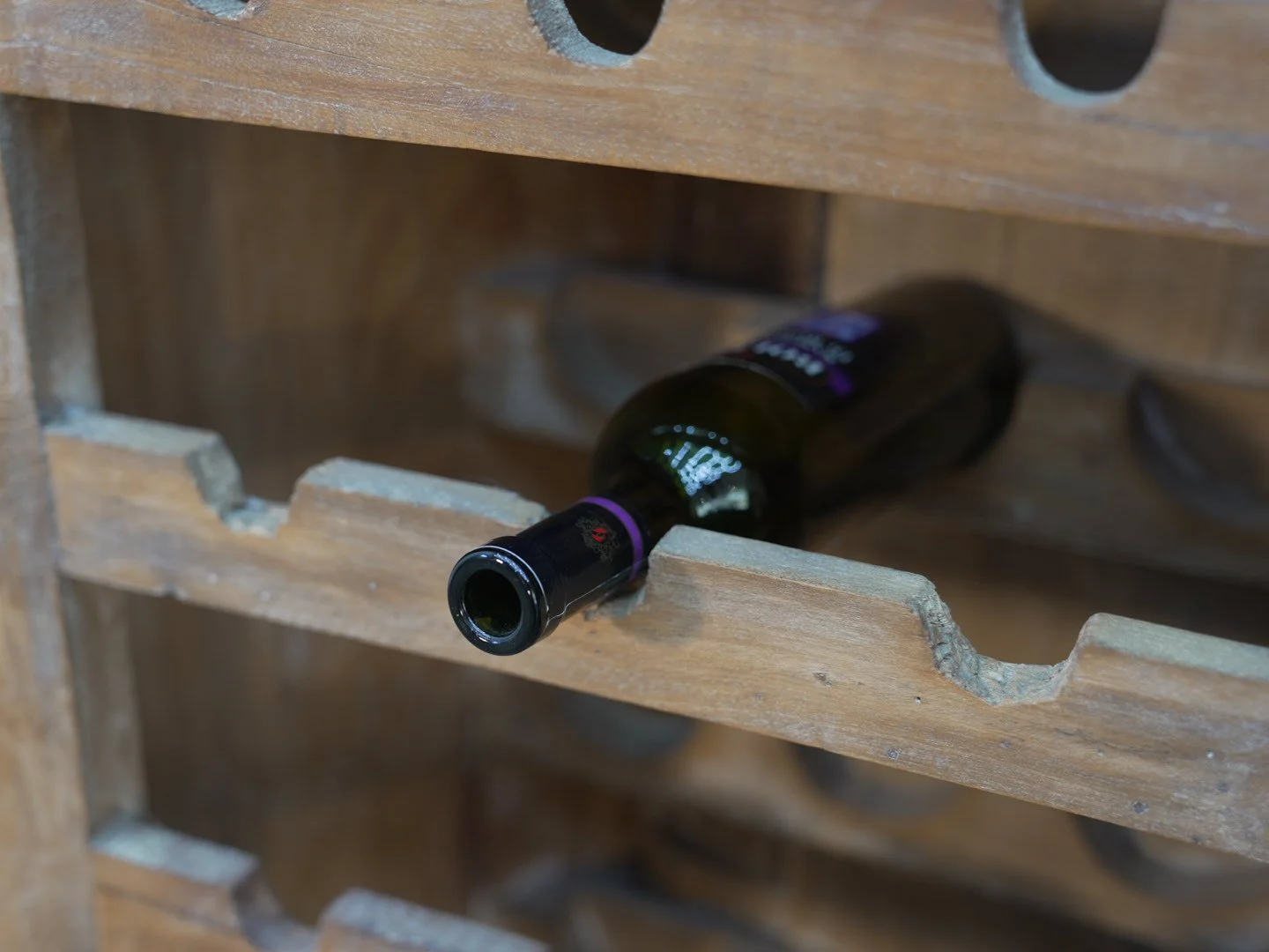 Photo Feb 13 2026, 2 05 42 PM.jpg