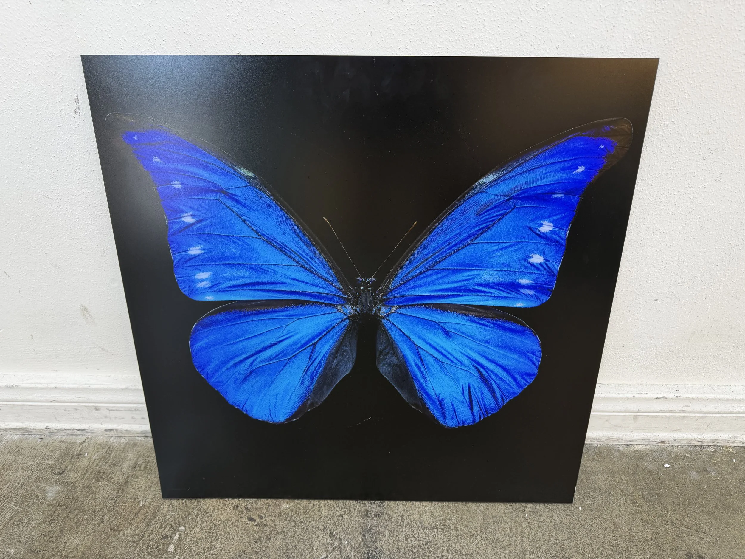 Photo Mar 28 2026, 12 10 16 PM.jpg