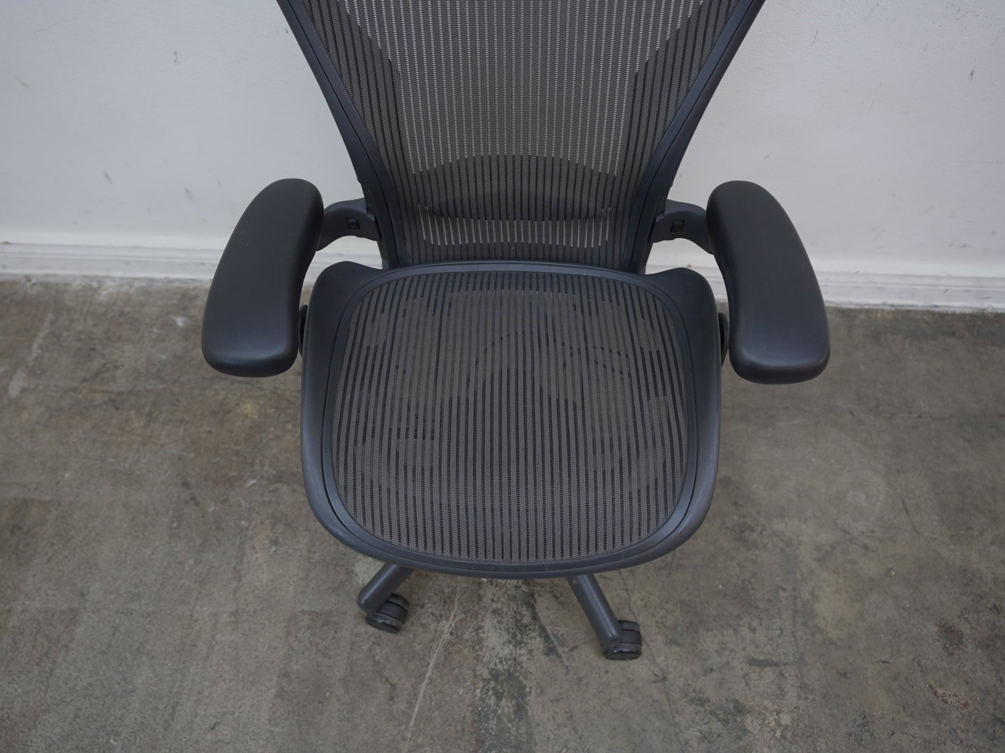 Photo Mar 13 2026, 1 51 31 PM.jpg