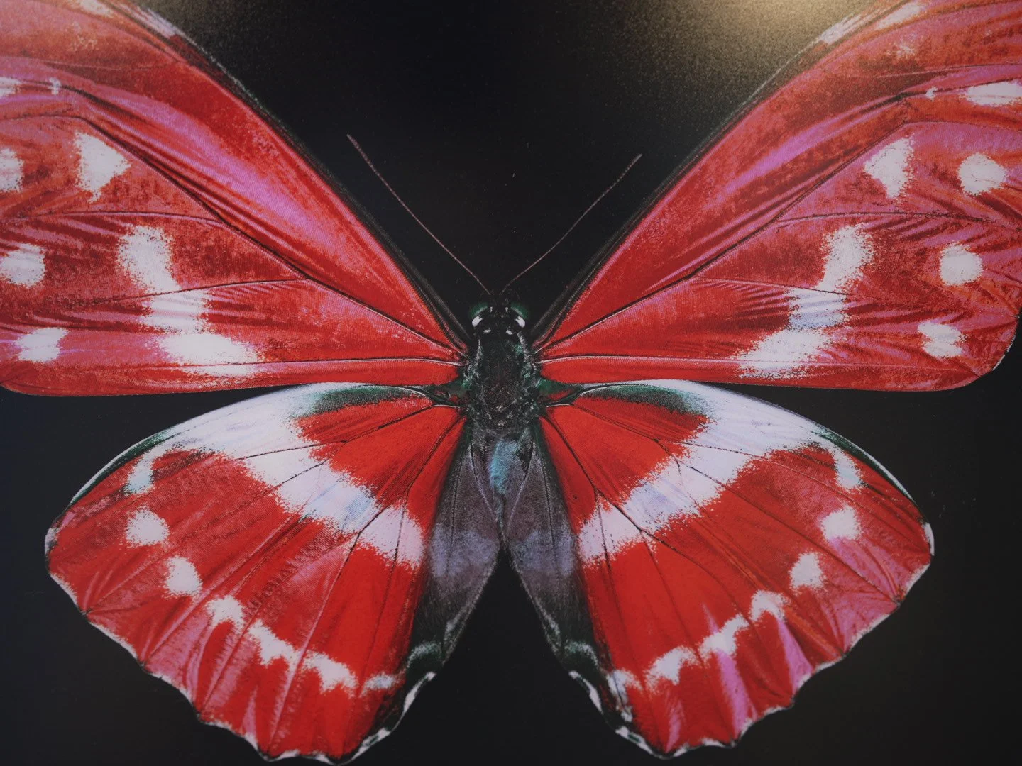 Photo Apr 23 2026, 12 37 31 PM.jpg