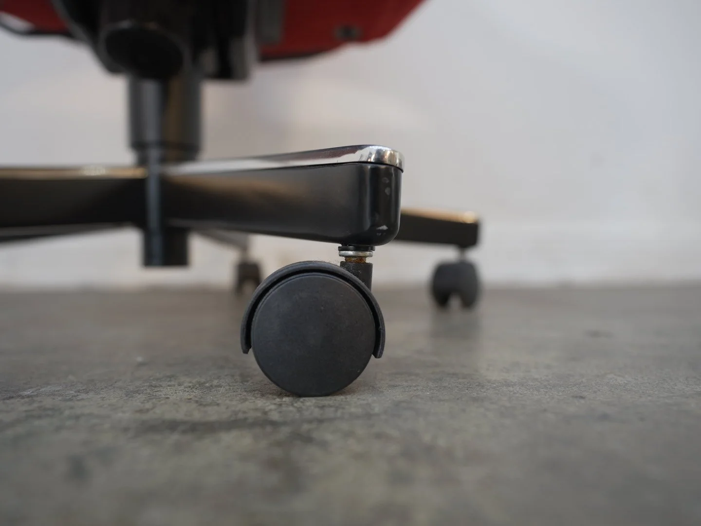 Photo Apr 09 2026, 4 02 19 PM.jpg