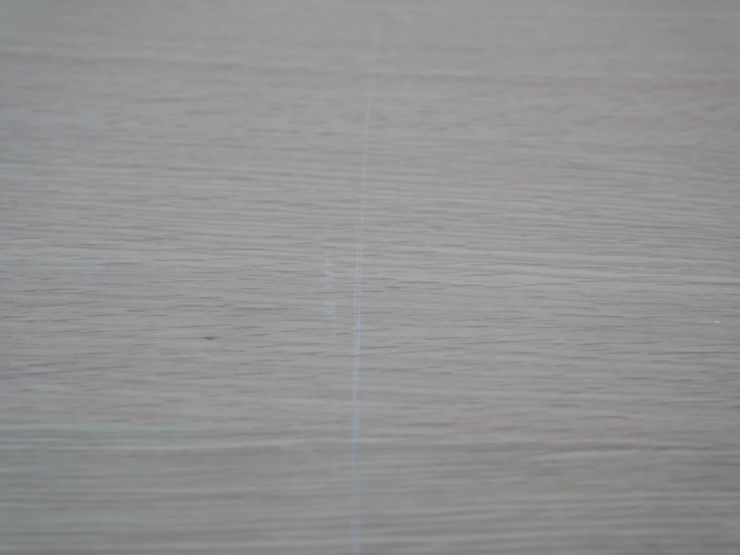 Photo Feb 12 2026, 3 45 35 PM.jpg