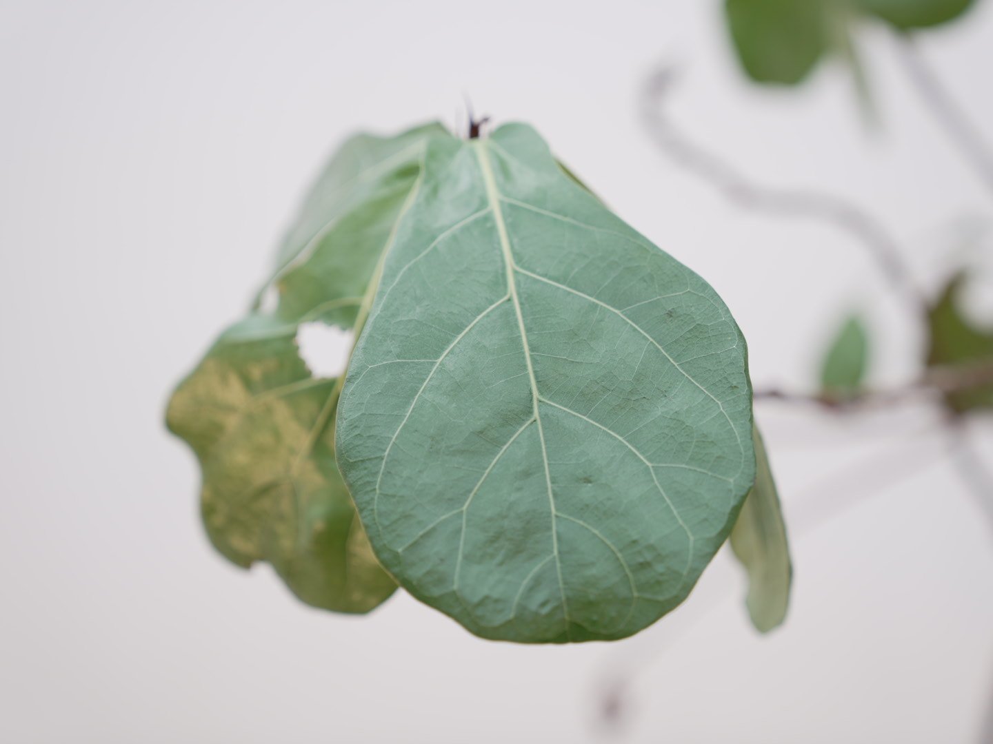 Photo Feb 06 2026, 5 39 52 PM.jpg