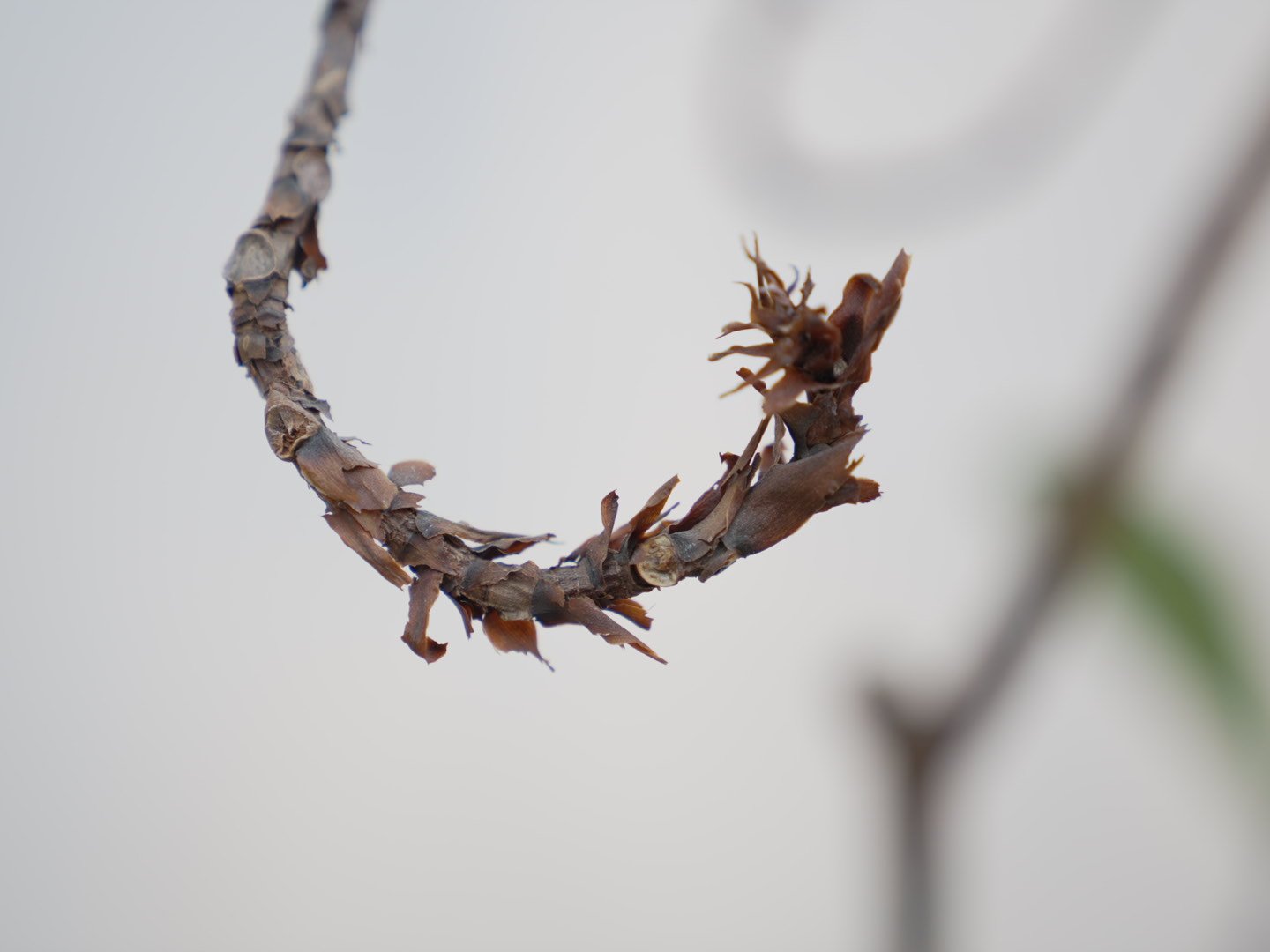 Photo Feb 06 2026, 5 40 44 PM.jpg