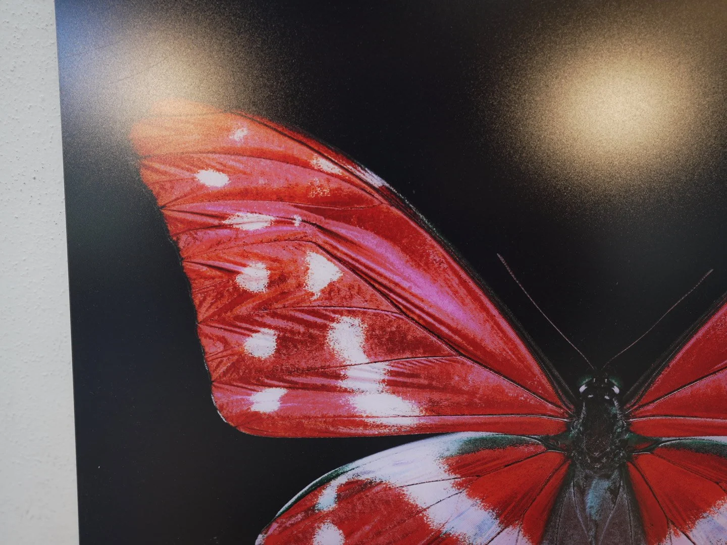 Photo Apr 23 2026, 12 37 07 PM.jpg