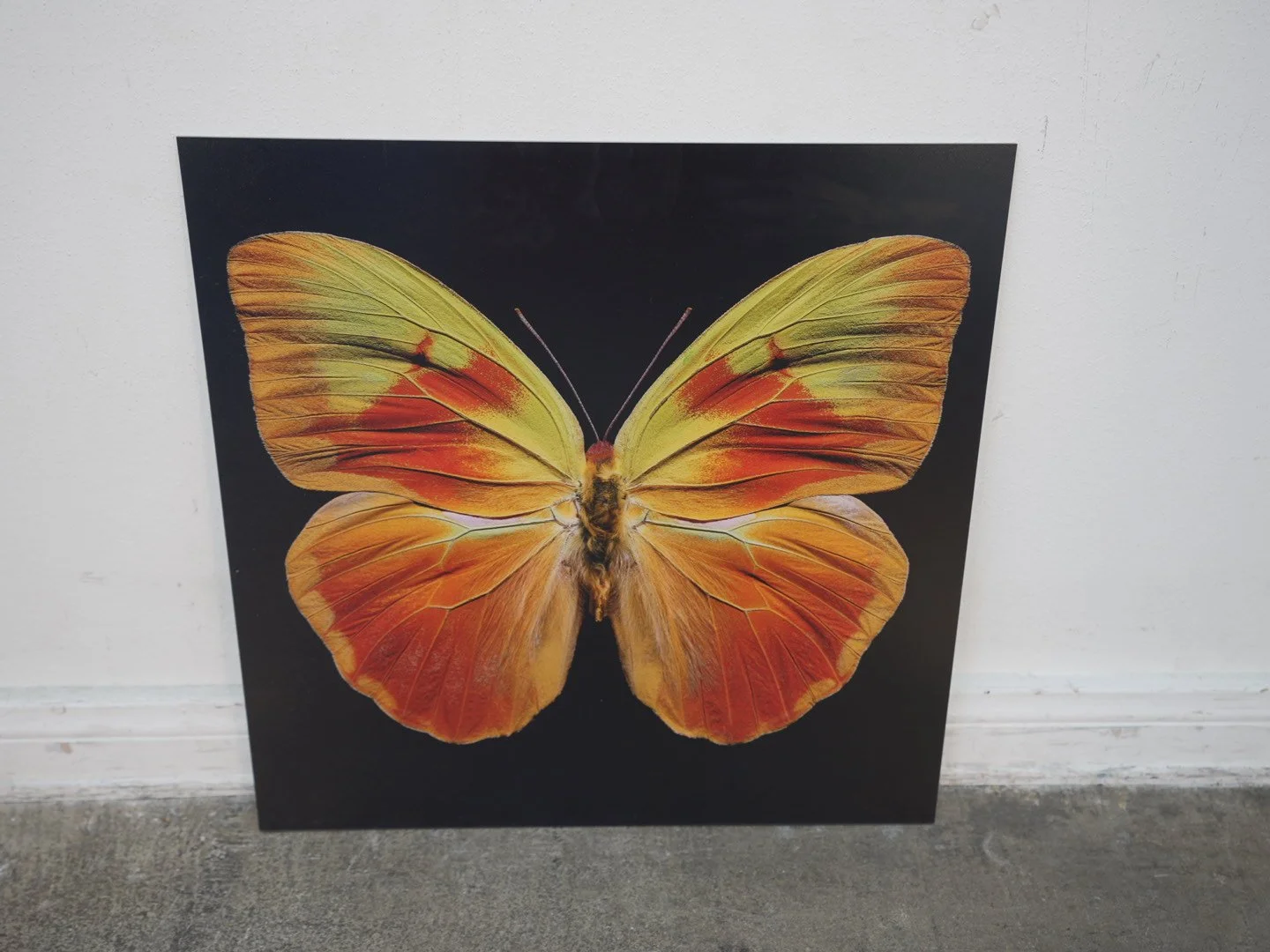 Photo Apr 23 2026, 12 40 43 PM.jpg