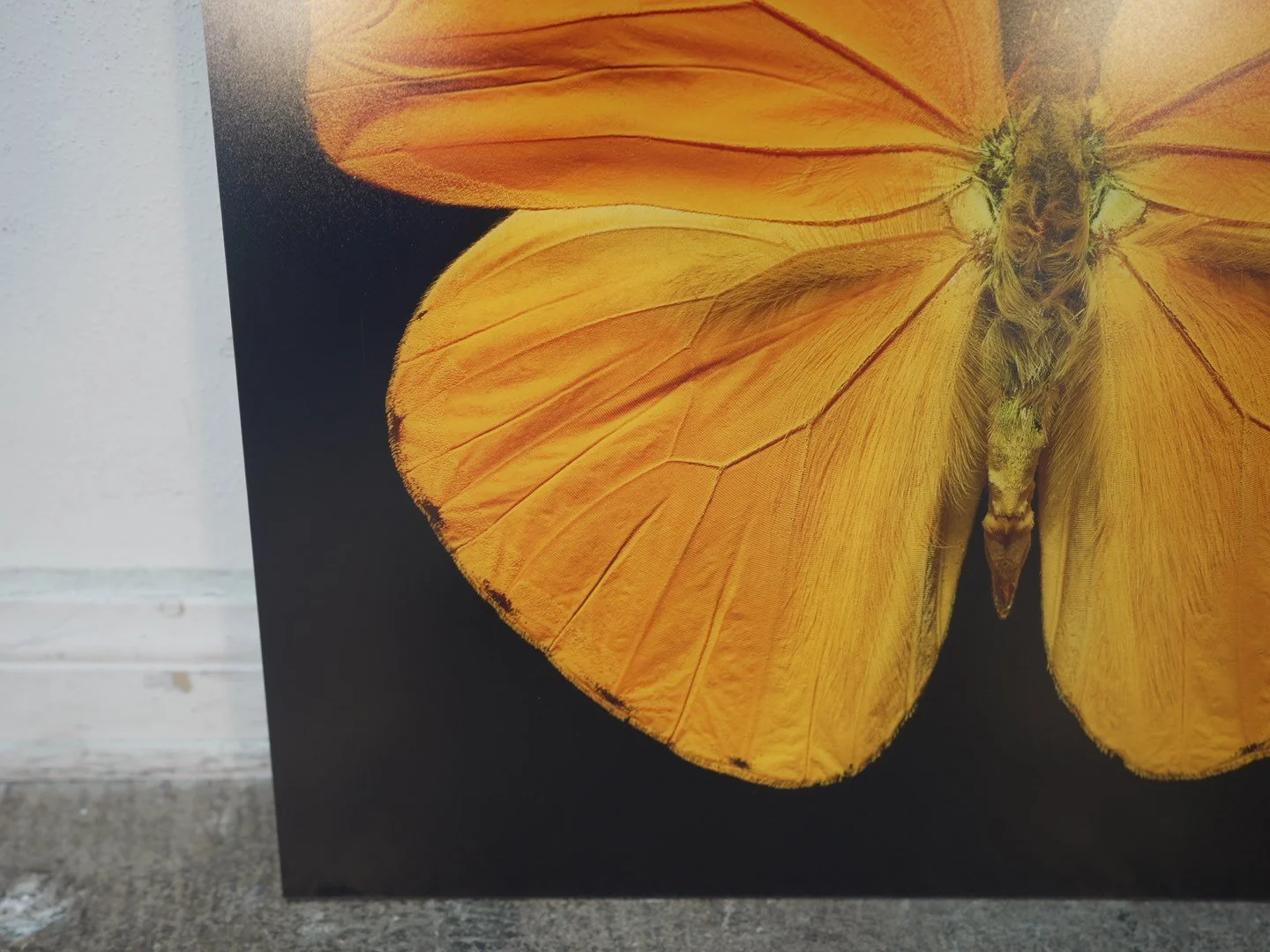 Photo Apr 23 2026, 12 21 15 PM.jpg