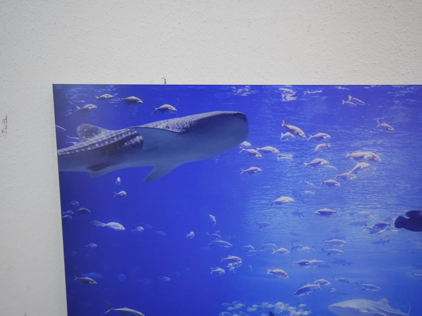 Photo Apr 23 2026, 12 17 55 PM.jpg