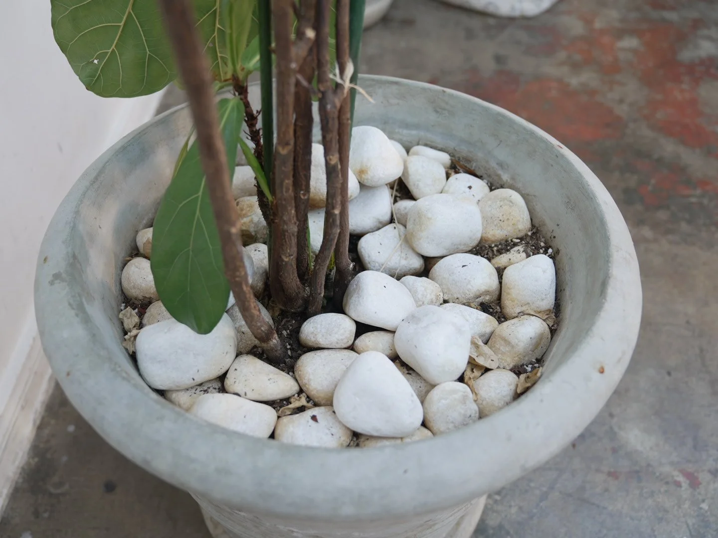 Photo Feb 06 2026, 5 40 03 PM.jpg