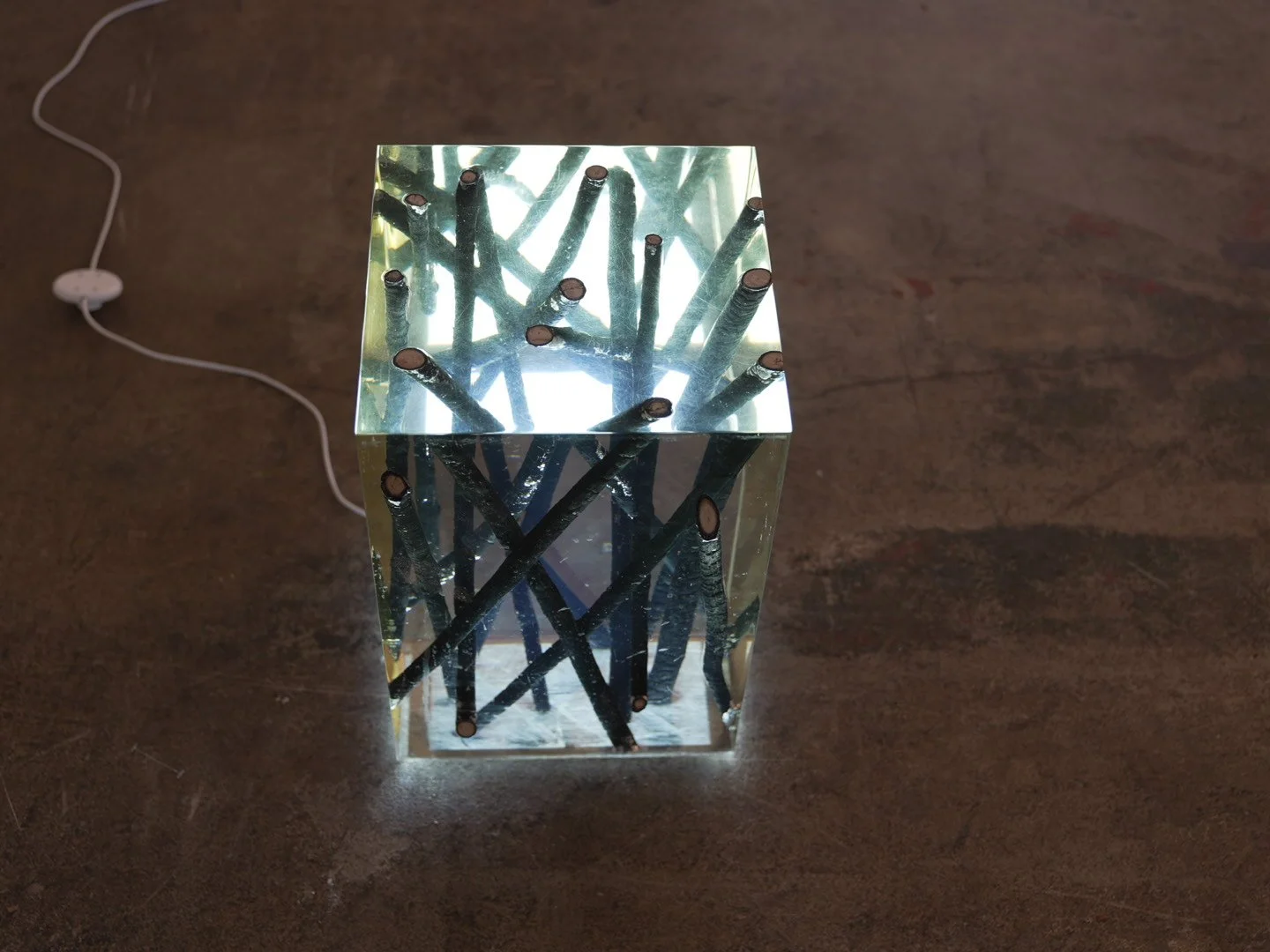 Photo Feb 08 2026, 12 04 50 PM.jpg